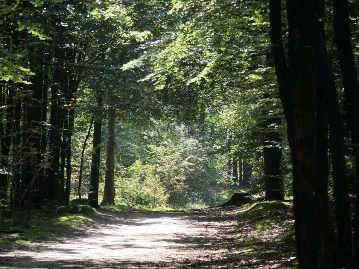 La Vita Veluwe Wapenveld Exterior photo